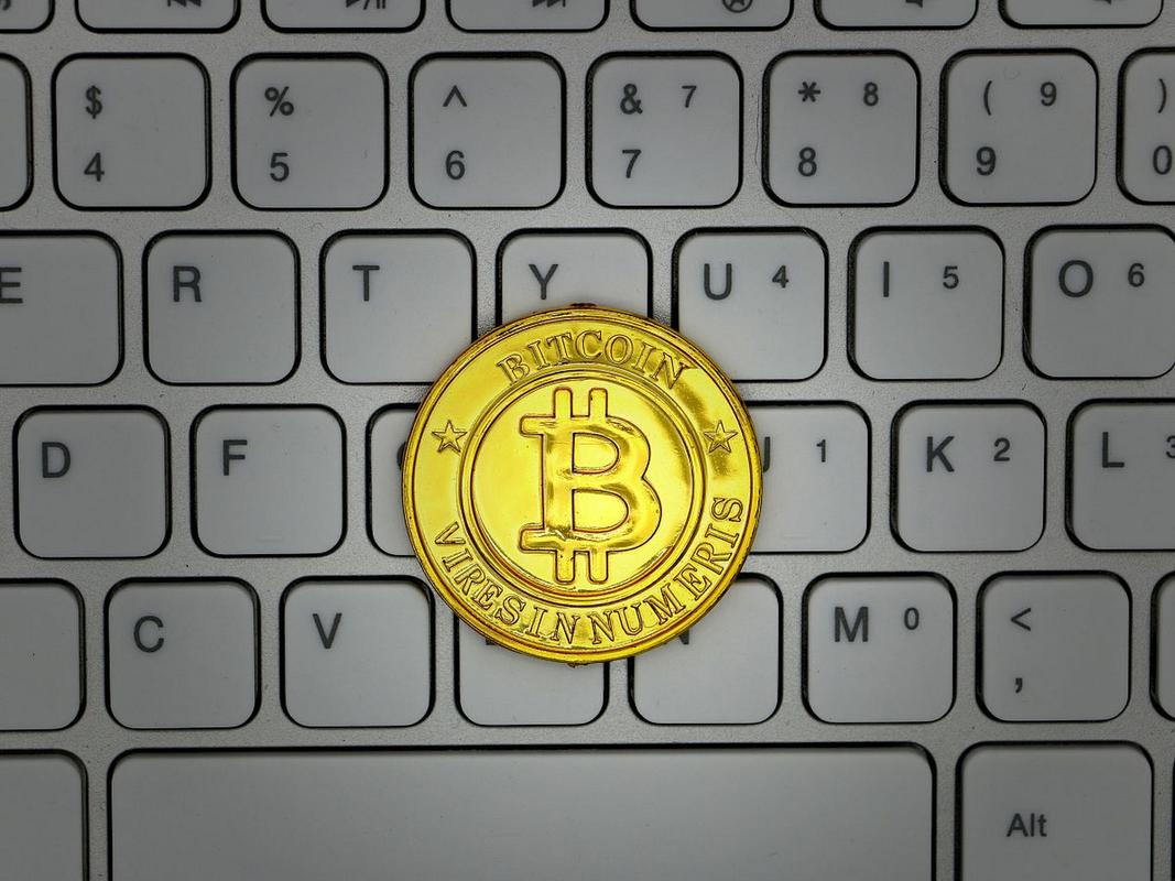 A detailed view of a modern mining rig setup