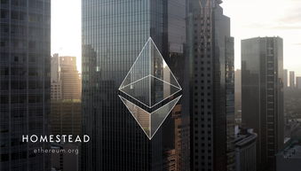 A powerful GPU setup dedicated to Ethereum mining, showcasing its adaptability and efficiency in a modern mining farm