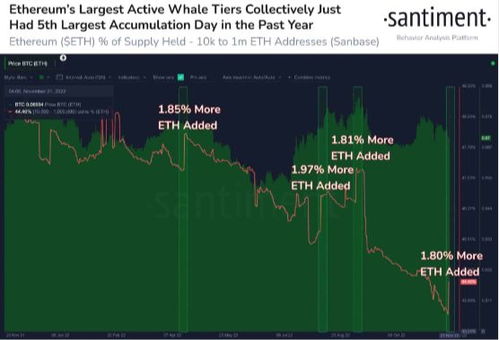 Ethereum Classic mining rigs running dual algorithms with efficiency